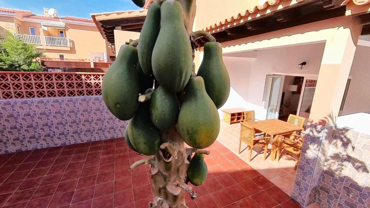 קורלחו La Casa De La Papaya, By Comfortable Luxury מראה חיצוני תמונה